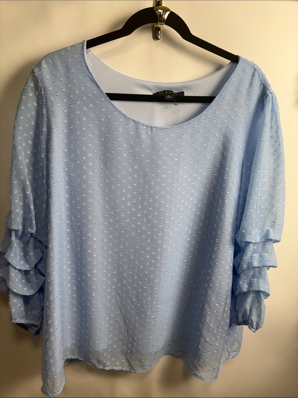 Zac & Rachel Light Blue Swiss Dot Ruffle Sleeve Top